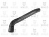 FIAT 2389369 Radiator Hose